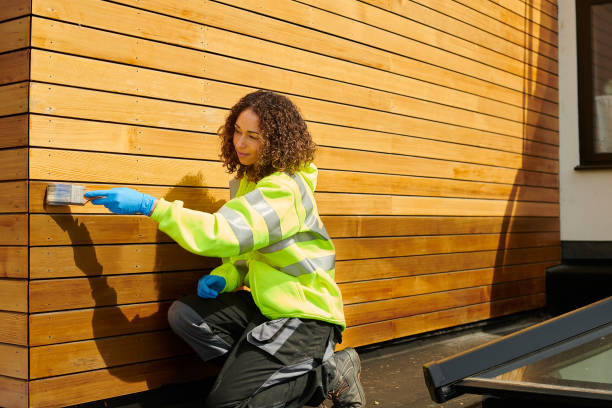 Affordable Siding Repair and Maintenance Services in Beech Grove, IN